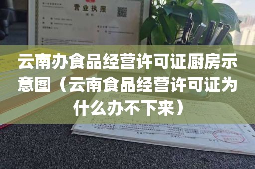 云南办食品经营许可证厨房示意图（云南食品经营许可证为什么办不下来）