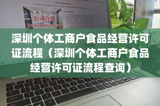 深圳个体工商户食品经营许可证流程（深圳个体工商户食品经营许可证流程查询）