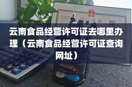 云南食品经营许可证去哪里办理（云南食品经营许可证查询网址）