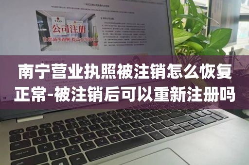 南宁营业执照被注销怎么恢复正常-被注销后可以重新注册吗