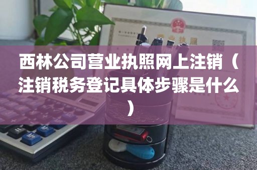 西林公司营业执照网上注销（注销税务登记具体步骤是什么）