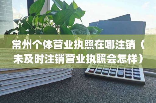 常州个体营业执照在哪注销（未及时注销营业执照会怎样）