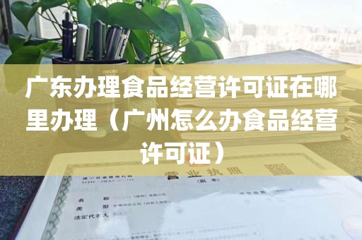 广东办理食品经营许可证在哪里办理（广州怎么办食品经营许可证）