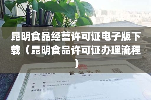 昆明食品经营许可证电子版下载（昆明食品许可证办理流程）