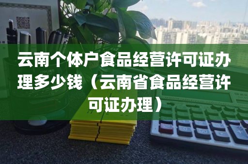 云南个体户食品经营许可证办理多少钱（云南省食品经营许可证办理）